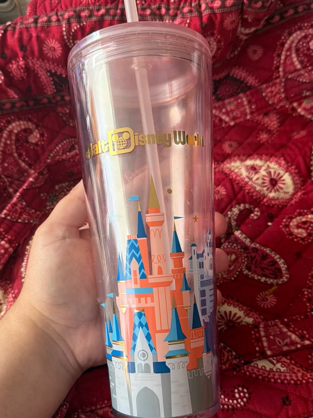 Disney Park - Starbucks Venti "Walt Disney World" Acrylic Cold Cup Tumbler